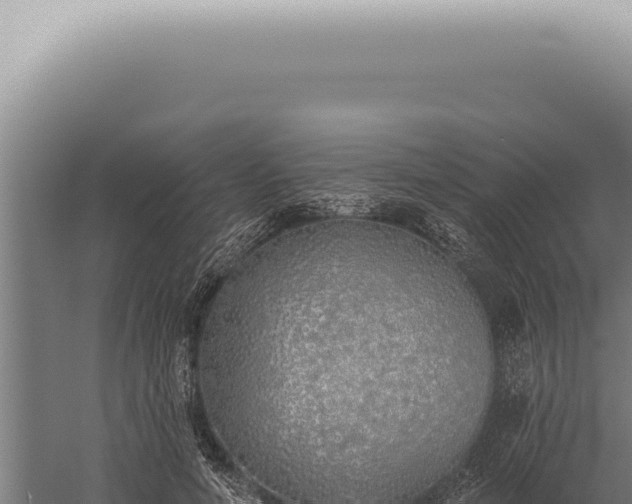 X0000059820594200510281733