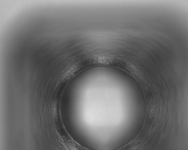 X0000059820595200510281733