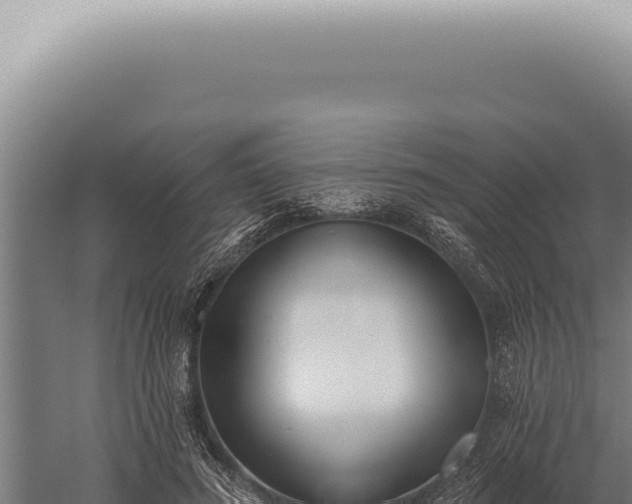 X0000059820596200510281733