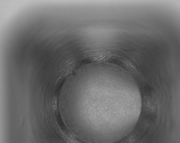 X0000059820602200510281733