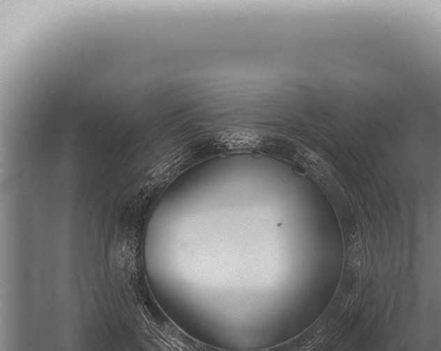 X0000059820604200510281733