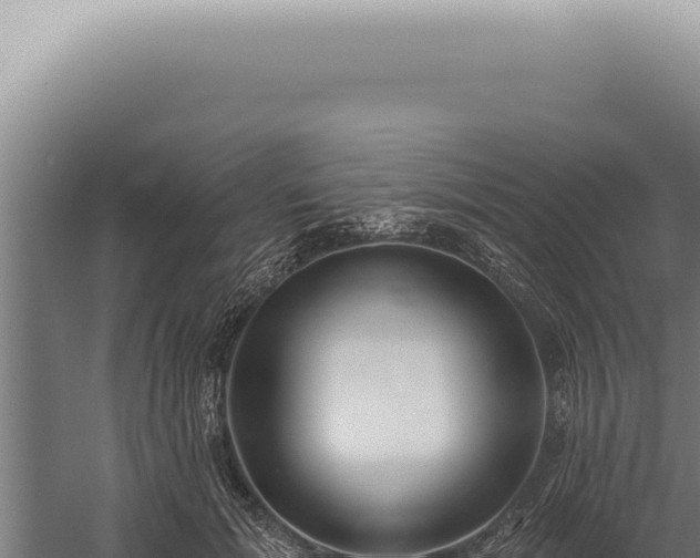 X0000059820605200510281733