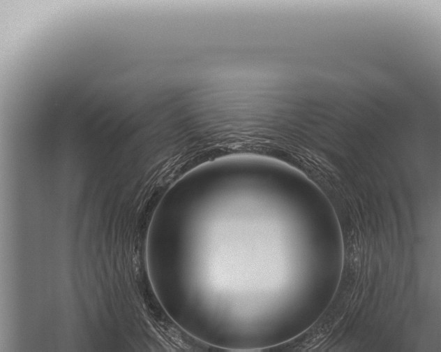 X0000059820607200510281733