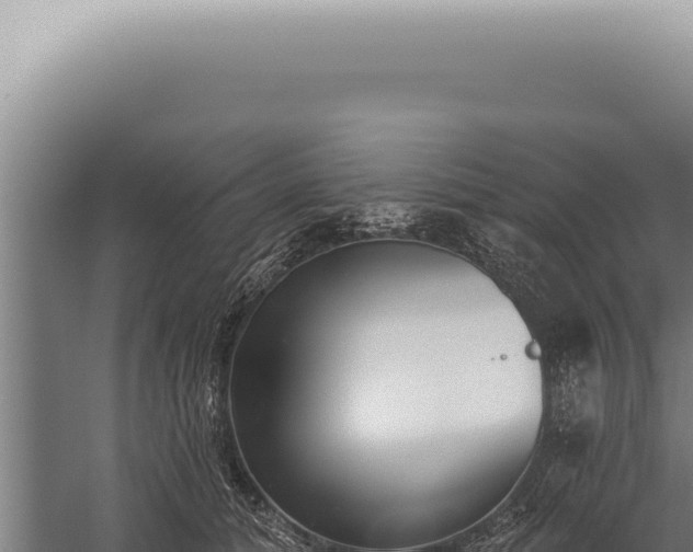 X0000059820608200510281733