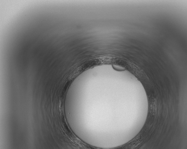 X0000059820610200510281733