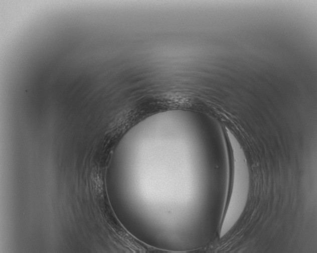 X0000059820613200510281733