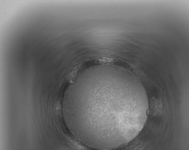 X0000059820614200510281733