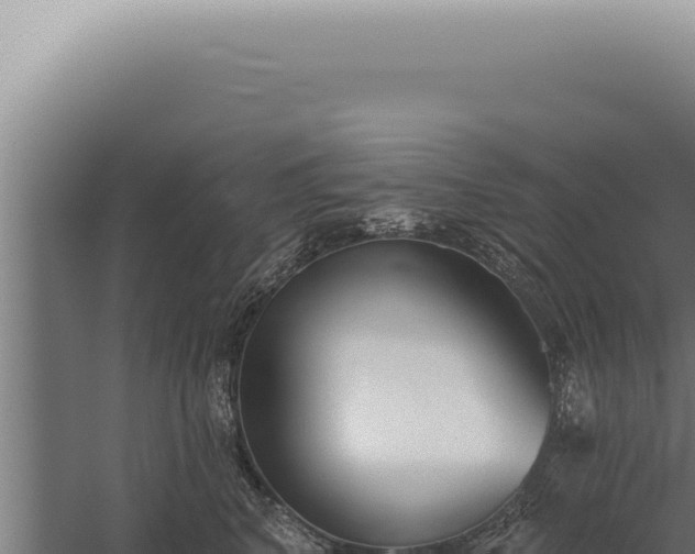 X0000059820616200510281733