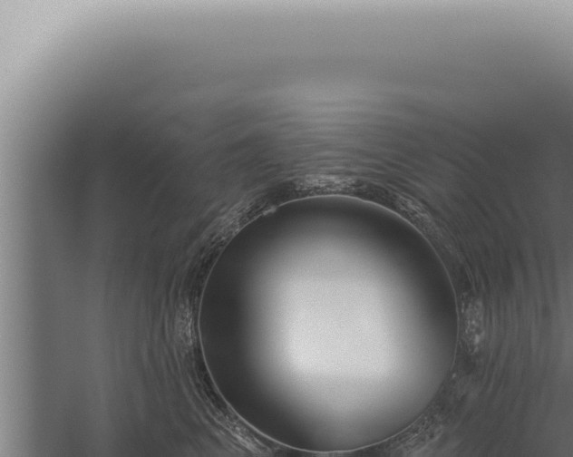 X0000059820617200510281733