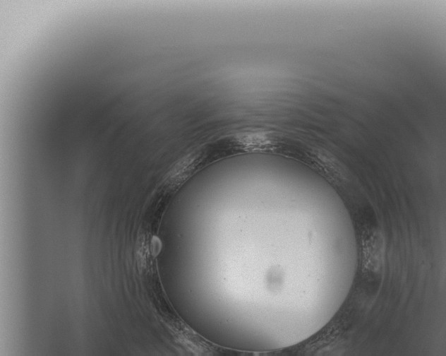 X0000059820618200510281733