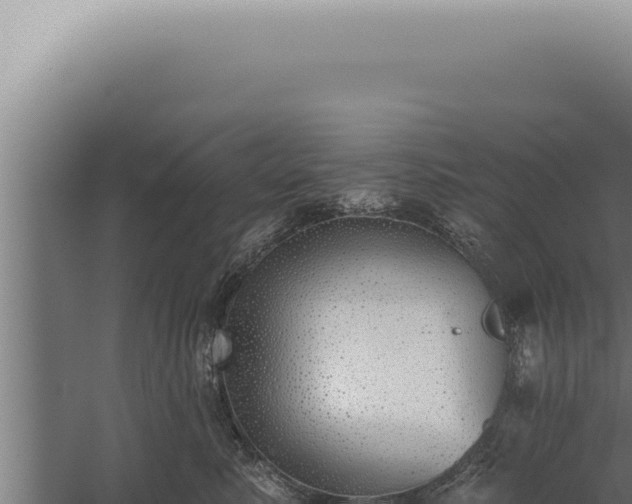 X0000059820619200510281733