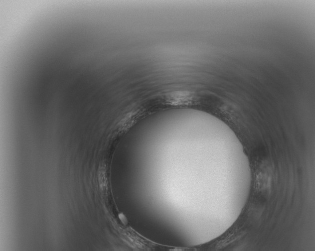 X0000059820620200510281733