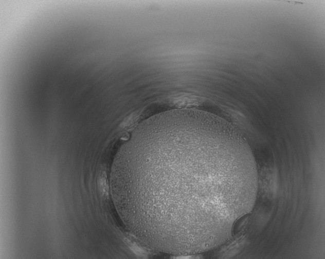 X0000059820622200510281733