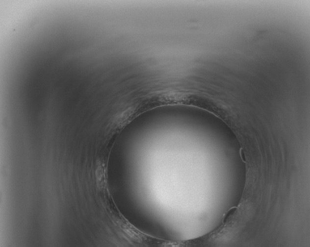 X0000059820624200510281733