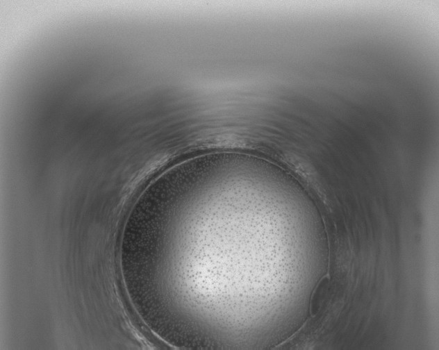 X0000059820625200510281732