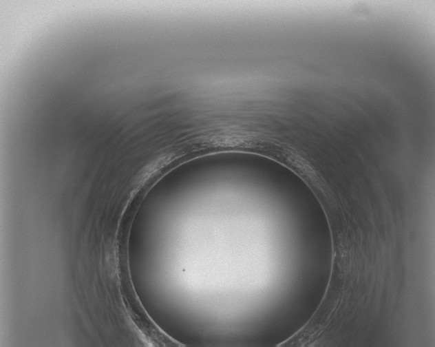 X0000059820626200510281732