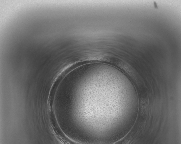 X0000059820628200510281732