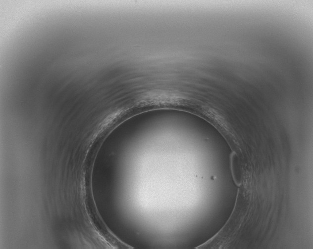 X0000059820629200510281732