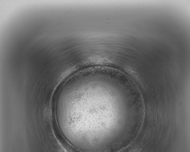 X0000059820630200510281732