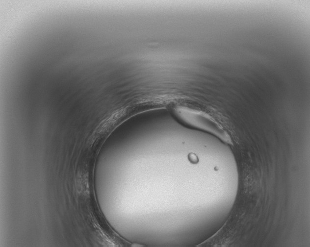 X0000059820633200510281732