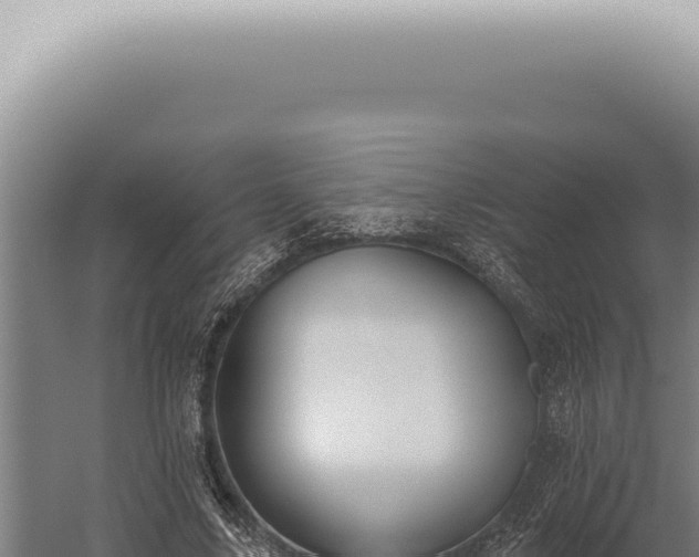 X0000059820635200510281732