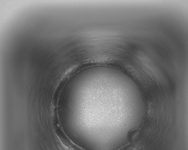 X0000059820636200510281732