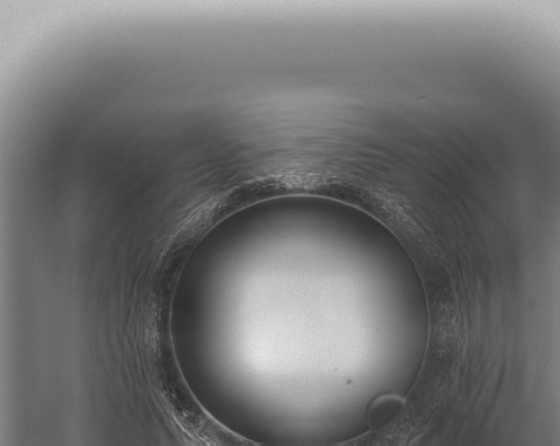 X0000059820639200510281732