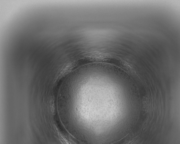 X0000059820642200510281732