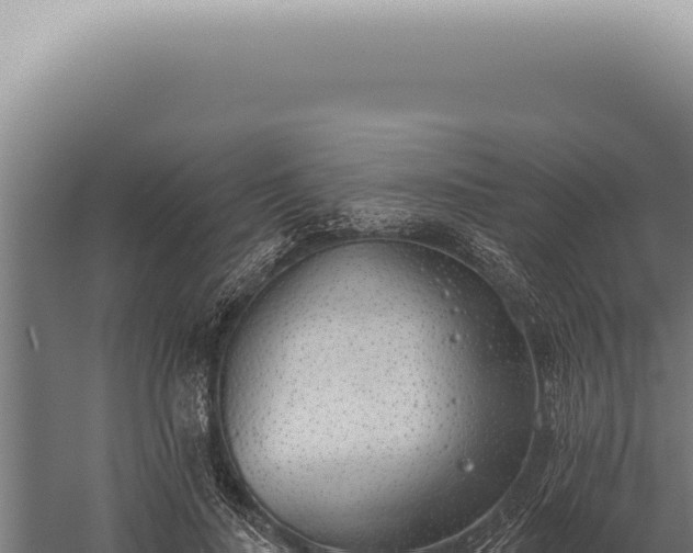 X0000059820644200510281732