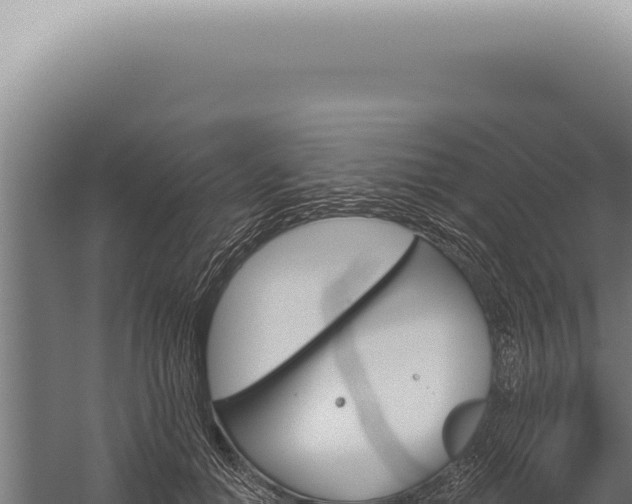 X0000059820654200510281733