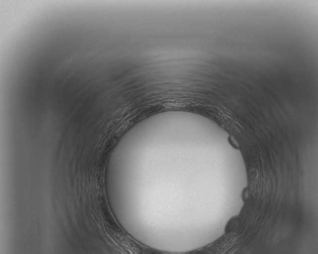 X0000059820655200510281733