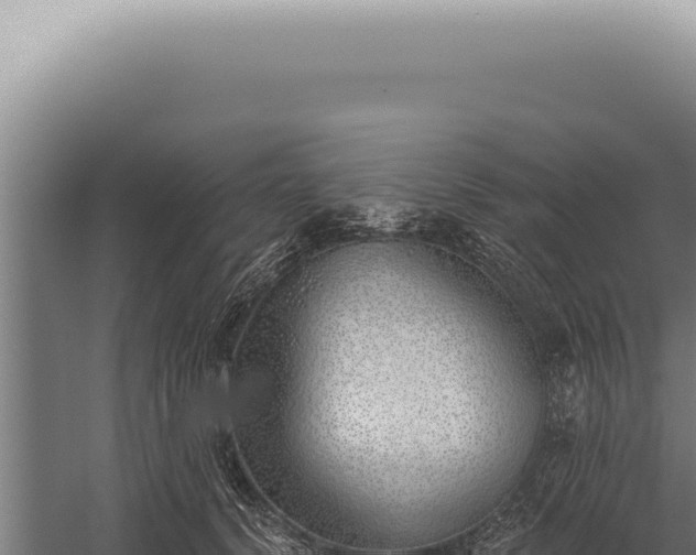 X0000059820656200510281733