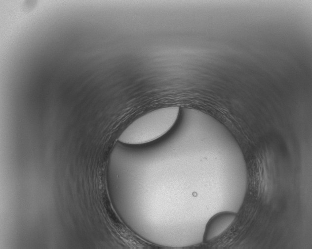 X0000059820658200510281733