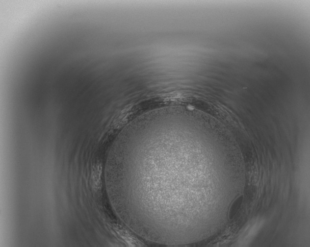 X0000059820660200510281733