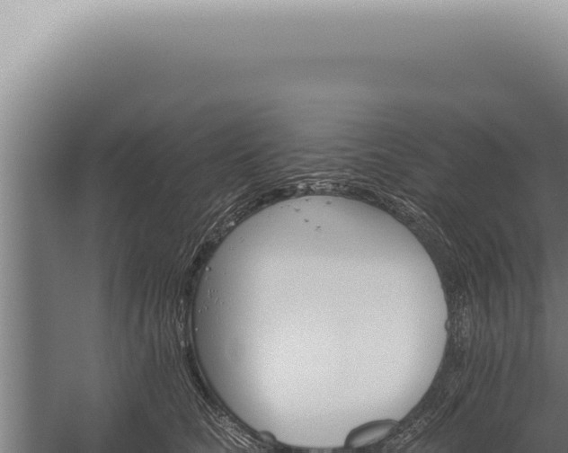 X0000059820661200510281733