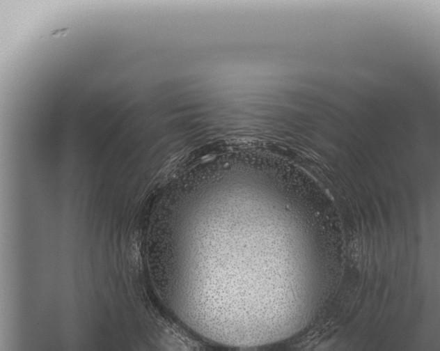 X0000059820662200510281733