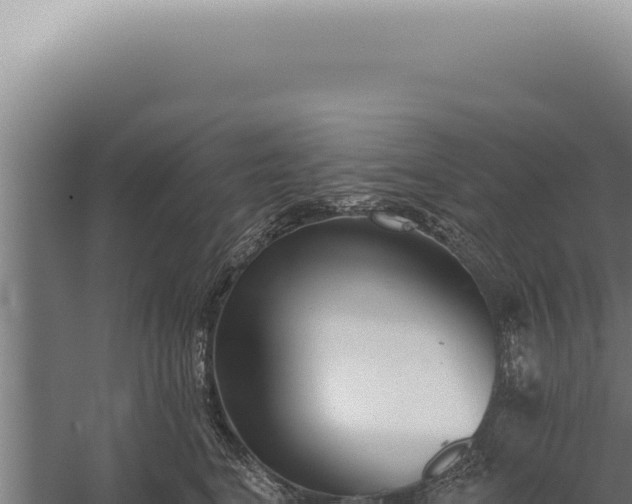 X0000059820664200510281733