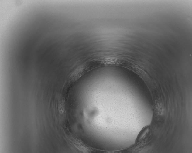 X0000059820665200510281733