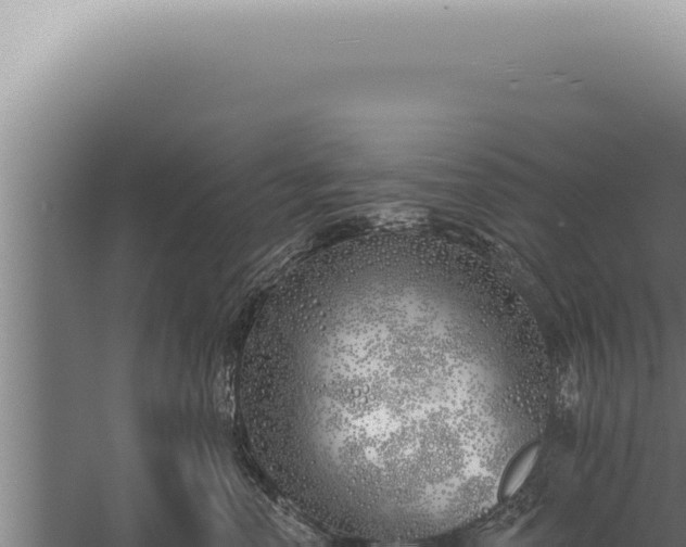 X0000059820666200510281733