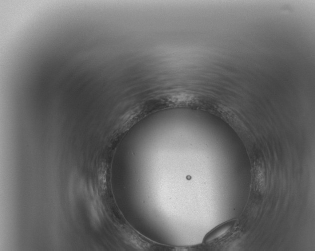 X0000059820668200510281733