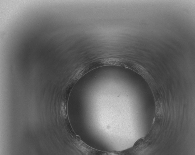 X0000059820669200510281733