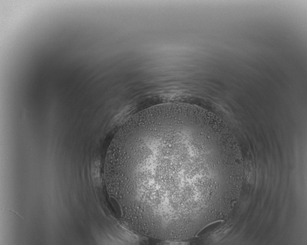 X0000059820670200510281733