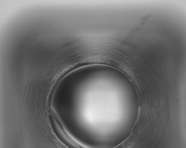 X0000059820673200510281732