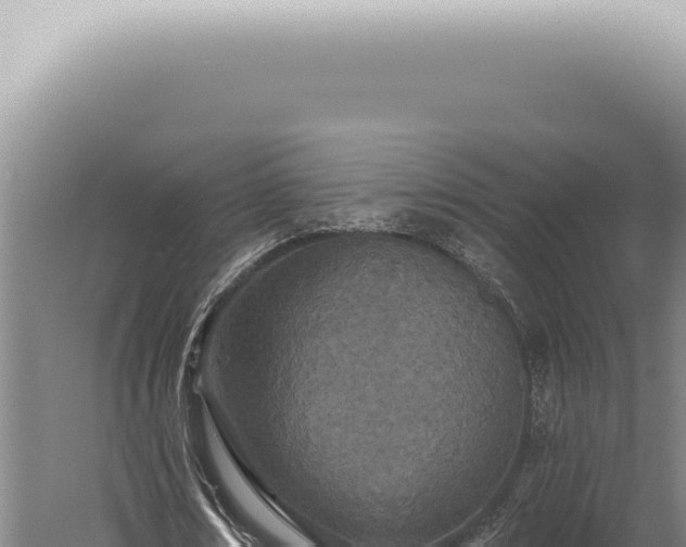 X0000059820674200510281732