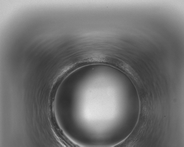 X0000059820677200510281732