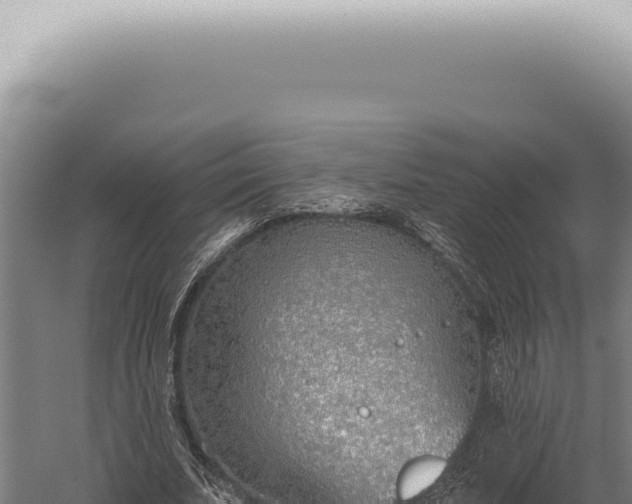 X0000059820679200510281732