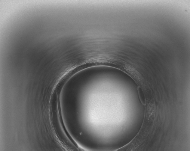 X0000059820680200510281732