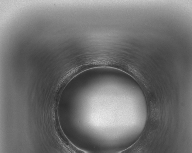 X0000059820681200510281732