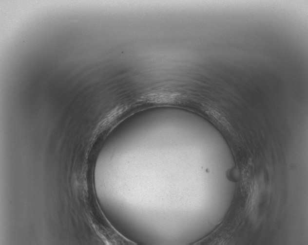 X0000059820682200510281732