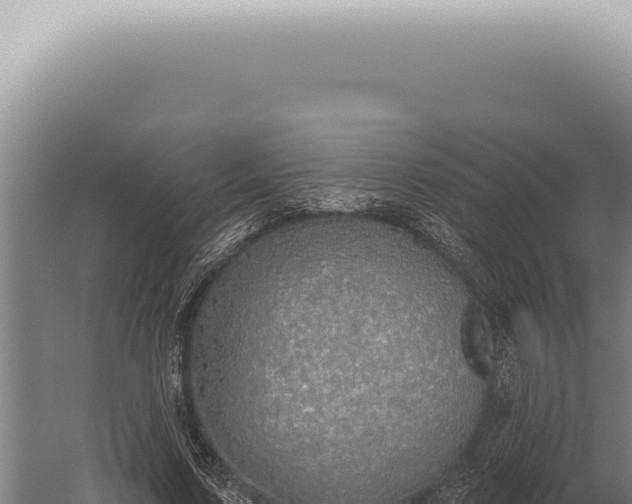 X0000059820683200510281732